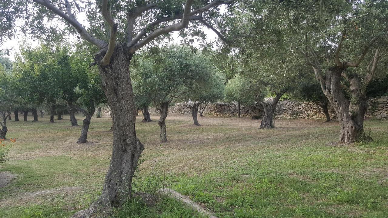 Serra E Mesu Affittacamere Magomadas Exterior foto